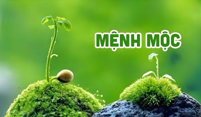Gợi Ý Màu Sơn Nhà Hợp Phong Thủy Cho Gia Chủ Mệnh Mộc