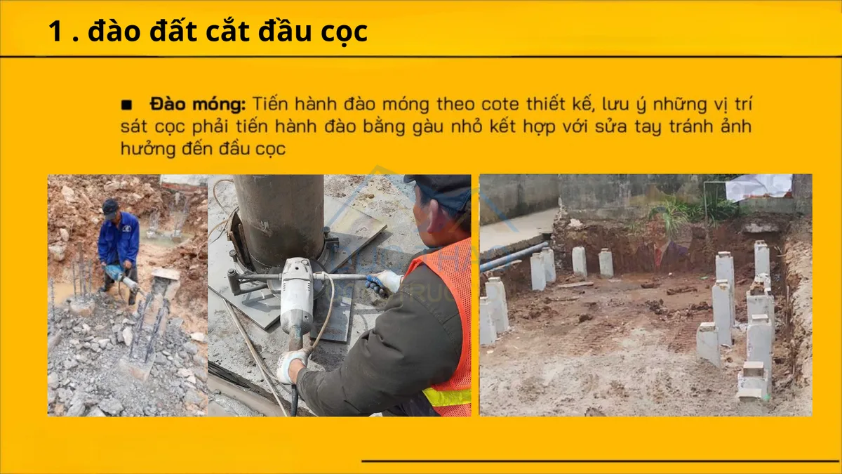 Đào đất và cắt đầu cọc khi thi công móng cọc